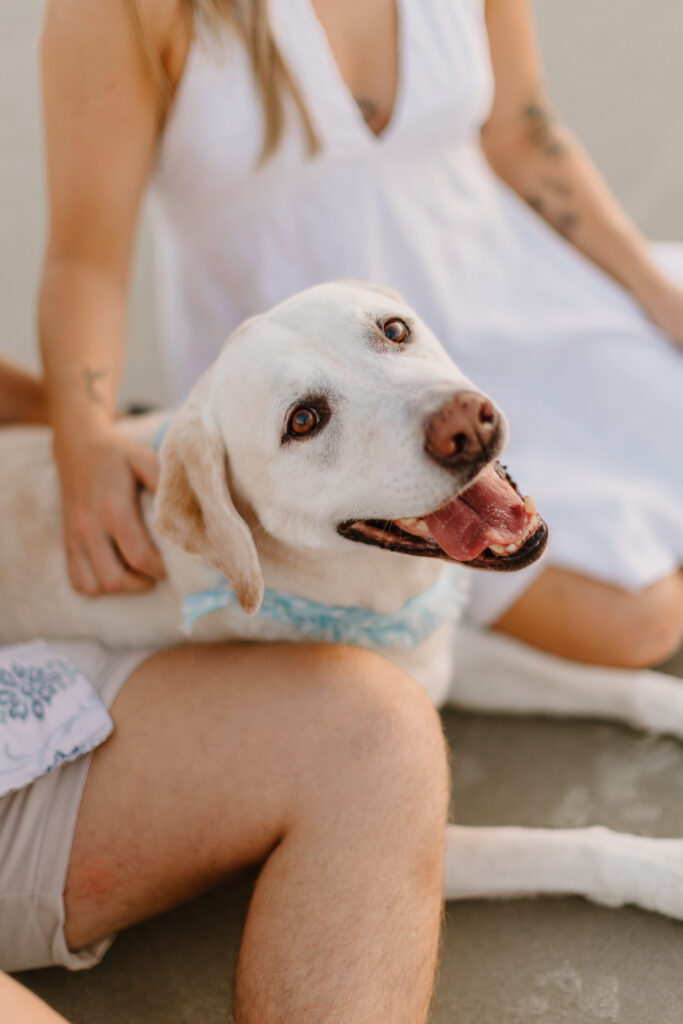 A couple giving their dog pets
